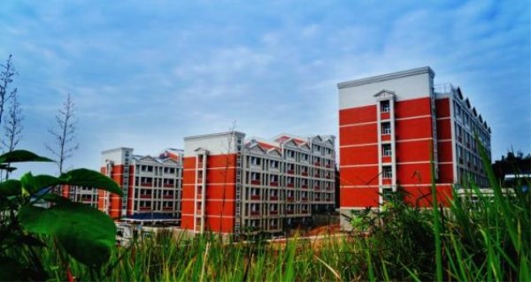 四川中医药高等专科学校_四川专科医药类学校_四川医药高等专科学校怎么样